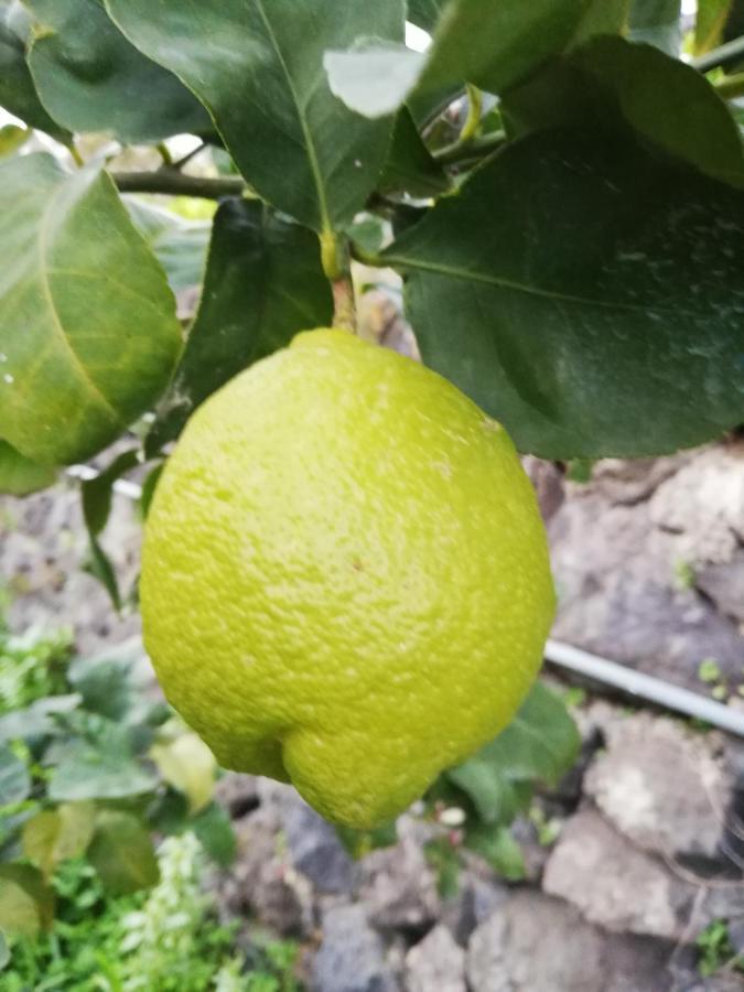 Sole E Azzurro Leilighet Fiumefreddo di Sicilia Eksteriør bilde
